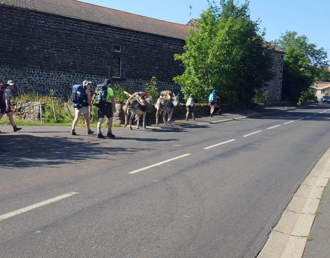 resized_20180731_1013341