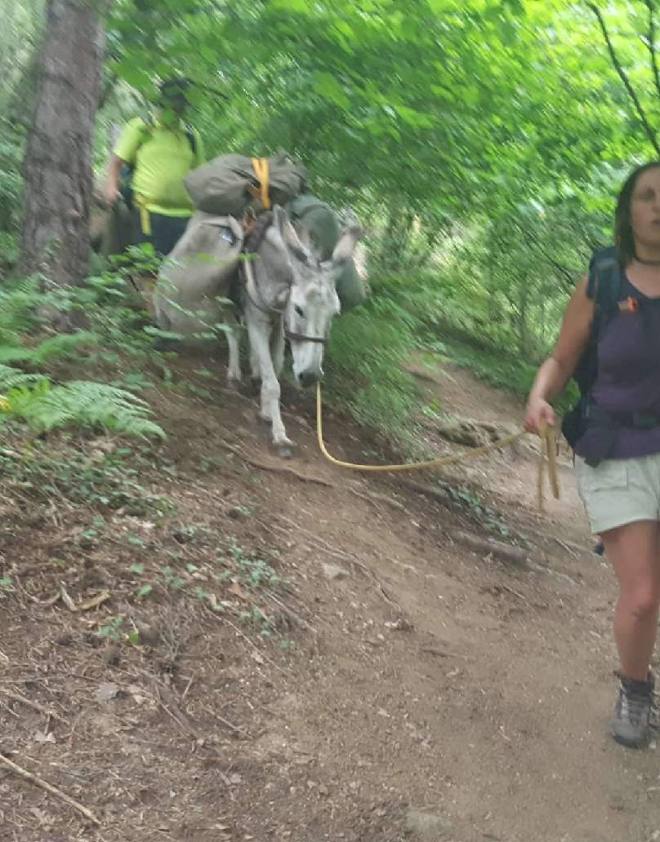 resized_20180731_171607