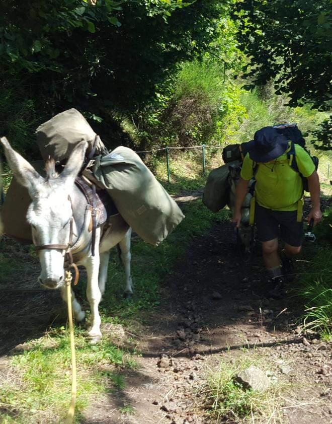 resized_20180801_110603