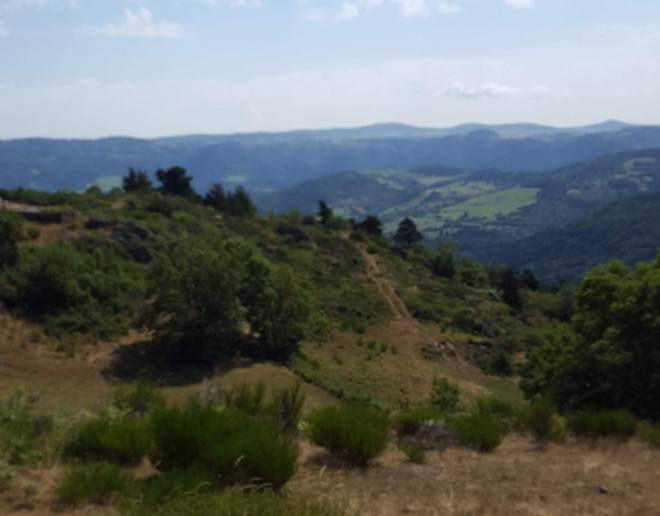 resized_20180801_122108